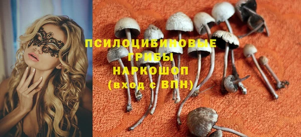 a pvp Лиски